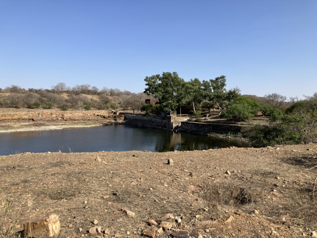 Chittorgarh Fort