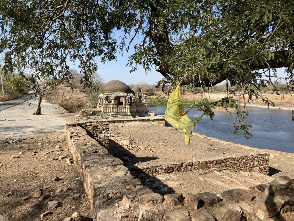 Chittorgarh Fort