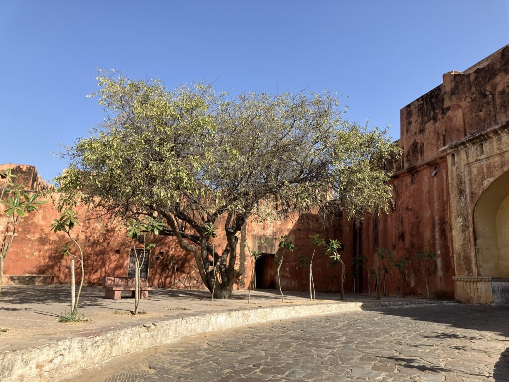 Jaigarh Fort & Nahargarh Fort