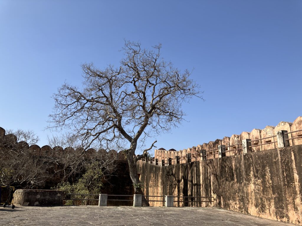 Jaigarh Fort & Nahargarh Fort