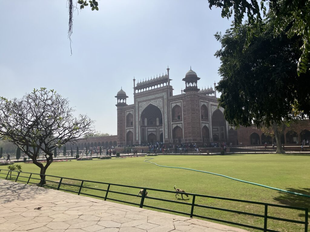 Taj Mahal & Agra Fort