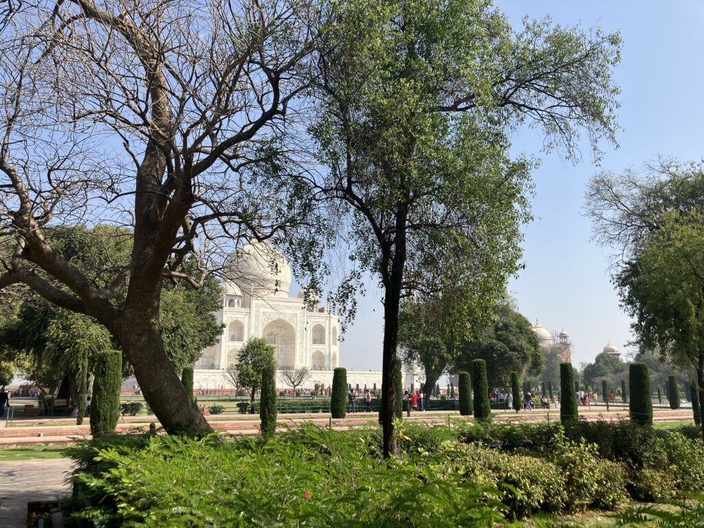 Taj Mahal & Agra Fort