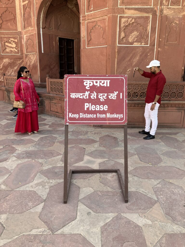 Taj Mahal & Agra Fort