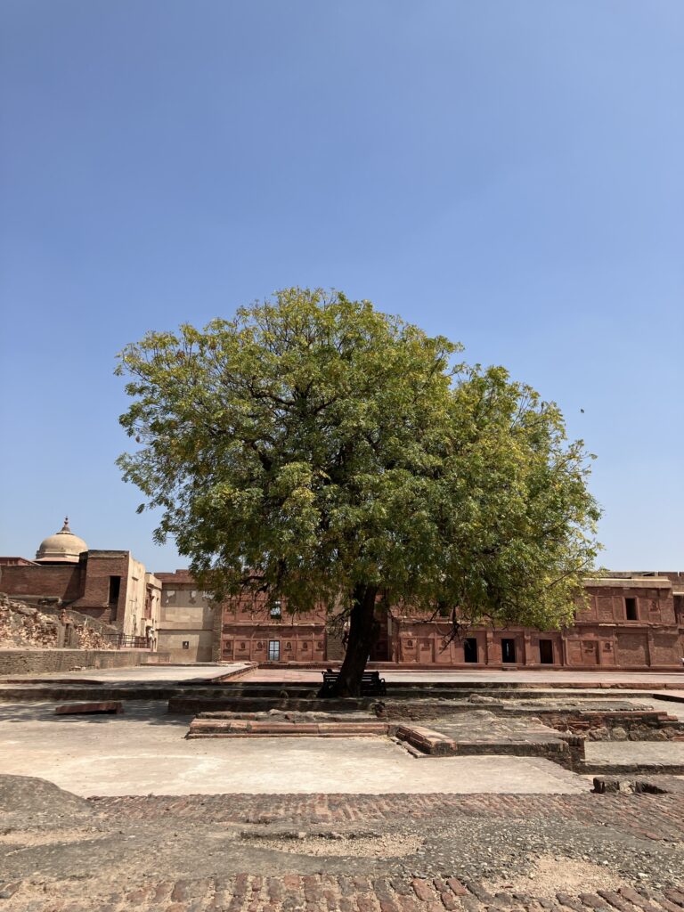 Taj Mahal & Agra Fort